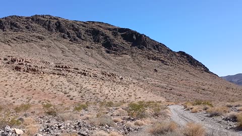 Hiking - Shadow Mountain, Pahrump, NV 89060 - 20240819T154615