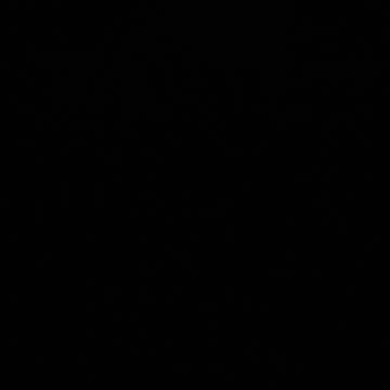 30.10.2024 Party in the Park, Kuranda (1)