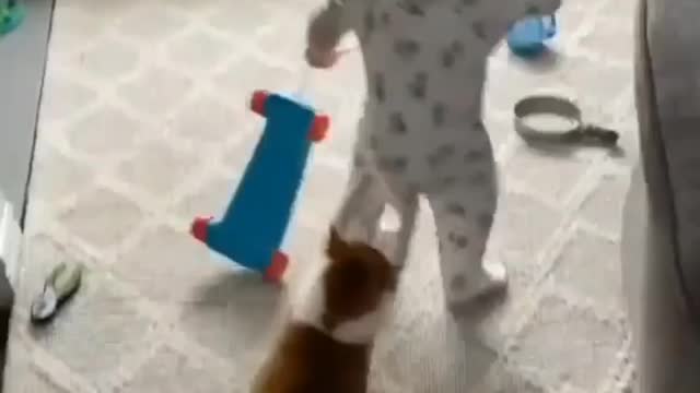 Friendship baby & cat 🤣