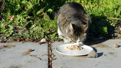 20240228 161857 Buddha Eating