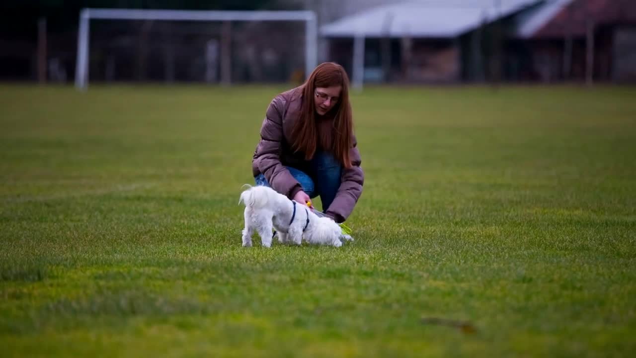 Person rewarding cute puppy on leash