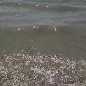 The Cradle Song on Tony Dixon Low D Whistle and Killarney Brass High D Whistle.