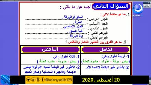 تركيز باب التكاثر