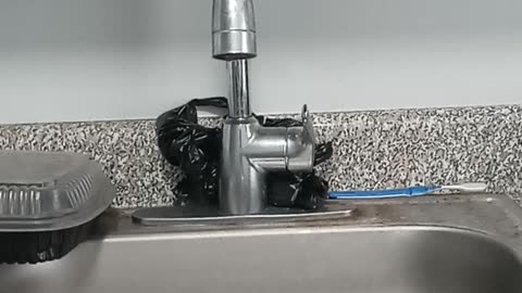 The vaccine 💉 passport mandate that took effect on Monday, September 13