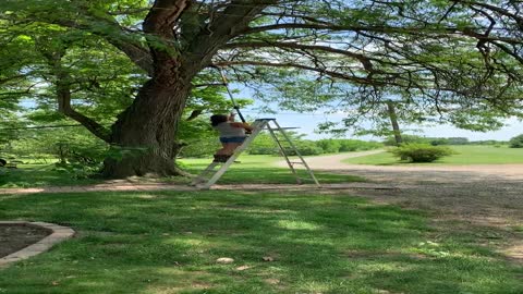 Woman Gets Bonked by Branch during Tree Trimming