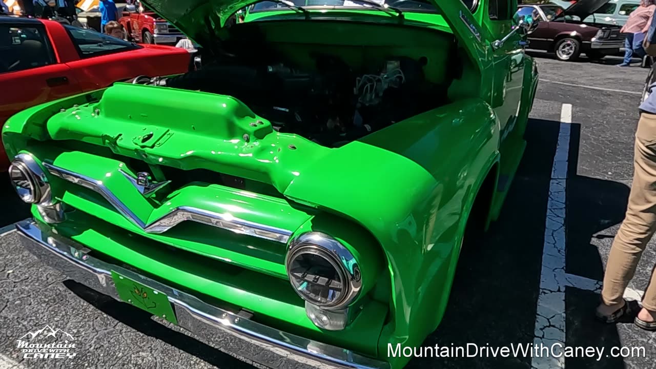 1955 Ford F100 Pickup Truck