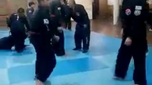 Hapkido