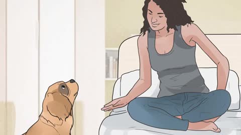 Encourage Your Dog to Sleep in Your Bed