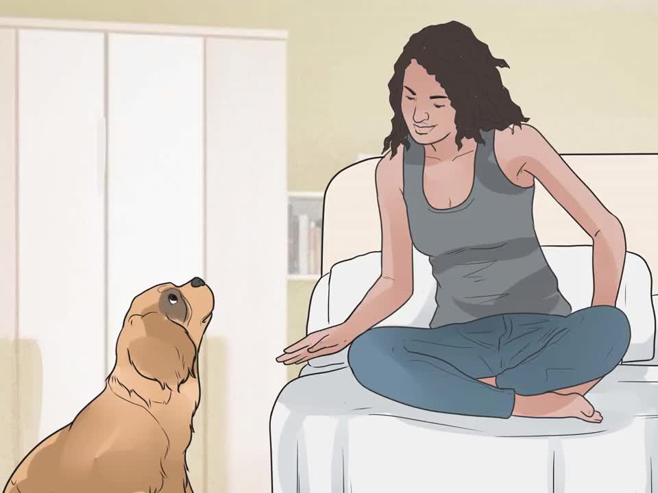 Encourage Your Dog to Sleep in Your Bed