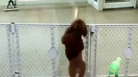 See if I can dance well