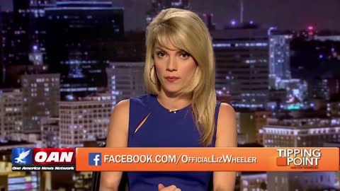 Liz Wheeler points out BLM's contradictions