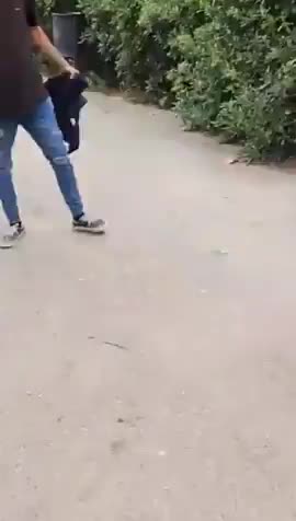 Condition of Europe | Illegal slaps baby in the face.. #PewPew 🔫