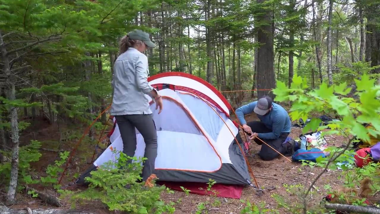 Trout Fishing Deep in the Woods of Nova Scotia, Canada