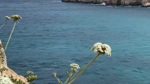 waves-crashing-into-cliff-rocks