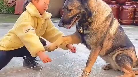 this cheerful dog