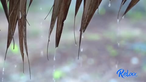 8 Hours Of Rain Sounds And Flute Sound