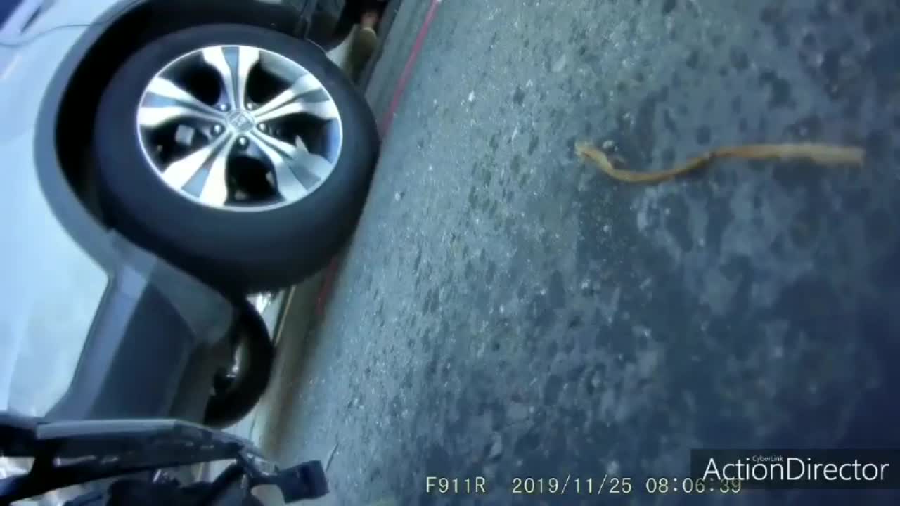 Woman Scooterist Crashes Into SUV Which Runs Over Her