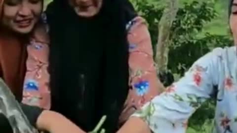 Para gadis main di sawah