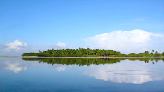 Interactive Postcard - Fisheating Creek Florida