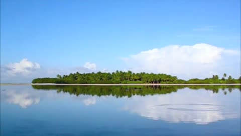 Interactive Postcard - Fisheating Creek Florida