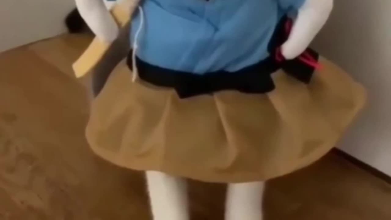 Cute and funny cat videos compilation