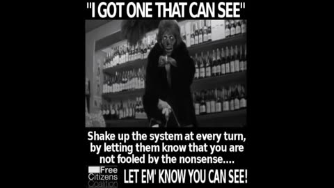 The Best Of George Carlin Exposing The American Government