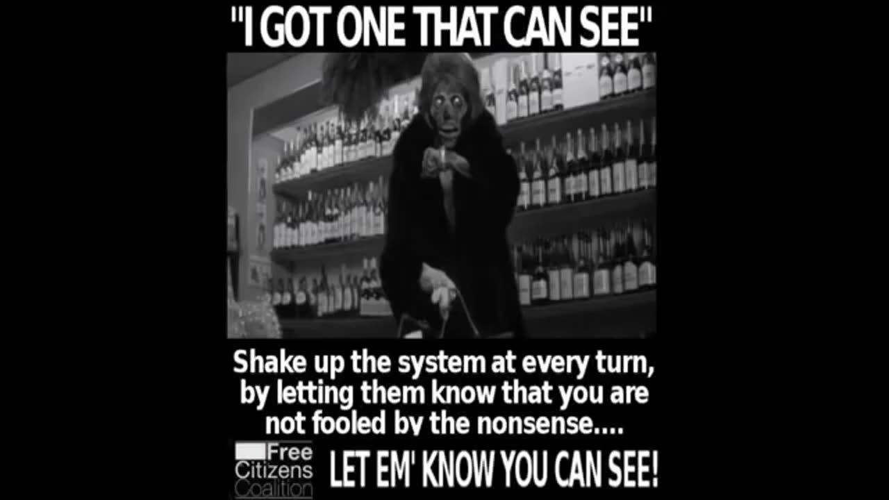 The Best Of George Carlin Exposing The American Government