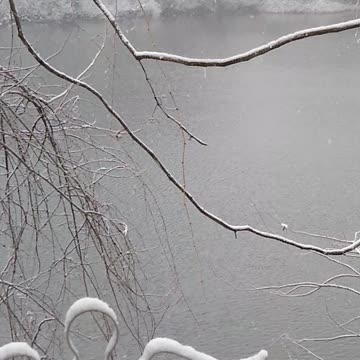 Good morning Saturday 3-12-22