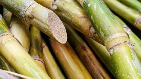 Benefits of Sugarcane