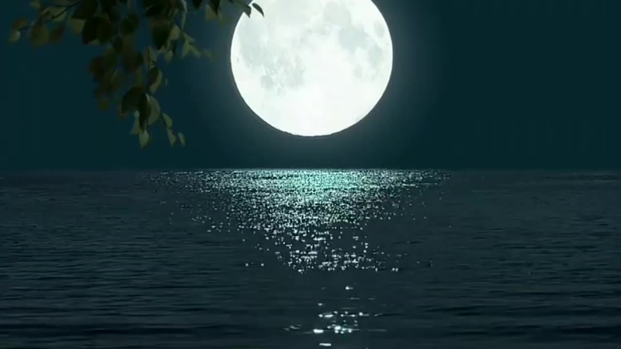 Moonlight night