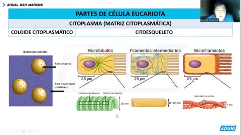 ANUAL ADUNI 2023 | REFORZAMIENTO 02 | BIOLOGÍA TEORÍA