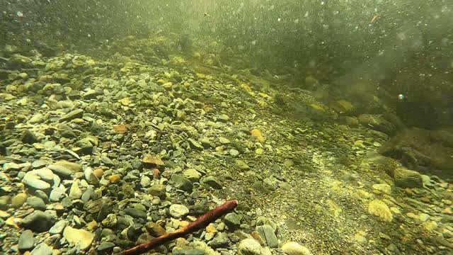 Beating the heat on a 112 degree day in the PNW. Chillin with the fish.