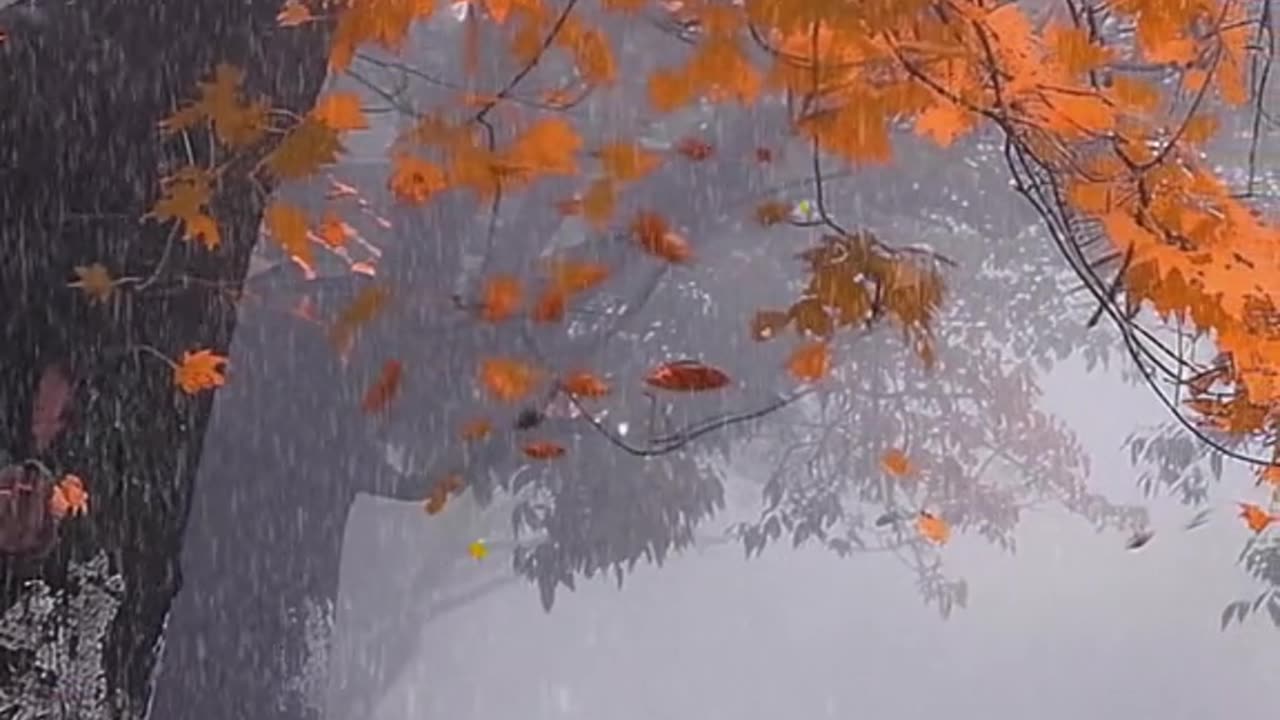 How many people realize the coolness of the autumn rain