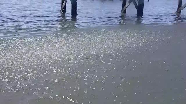 Fisherman Hosed Down