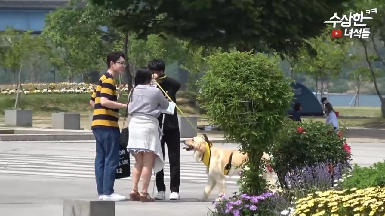 Best Korean prank & funny