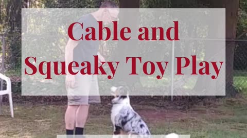 Cable and Squeaky toy play cut 2