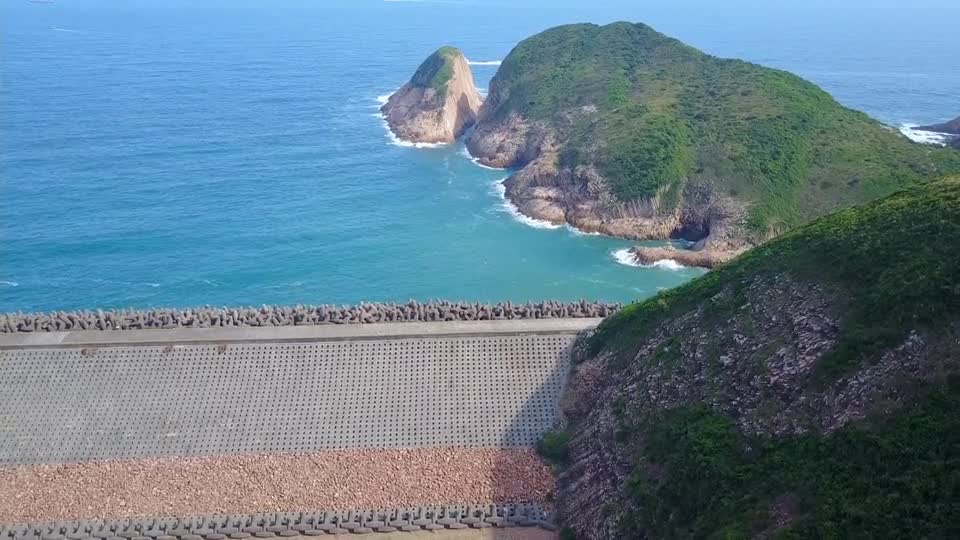 nature-fauna-bird-colombia