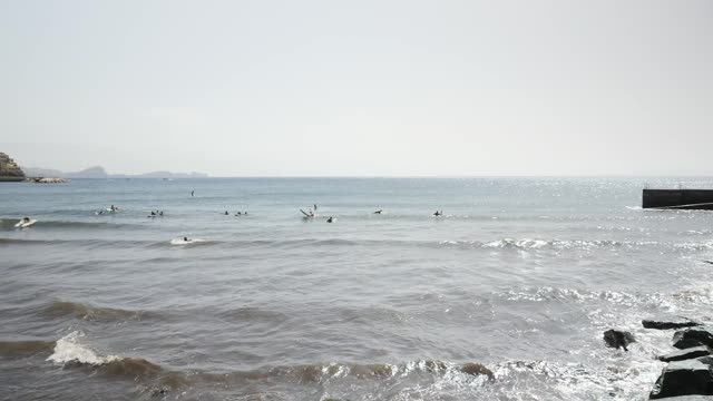 Surfers in the Sea