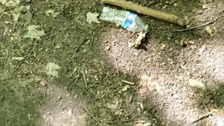 Trash cleaned up while hiking