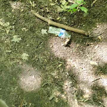 Trash cleaned up while hiking