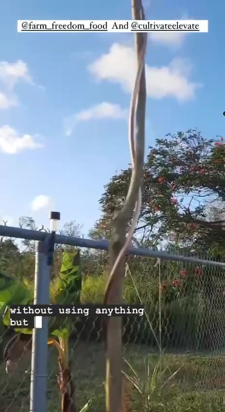 Good night fam. I'll leave you with a gardening tip, I think 🤷‍♀️