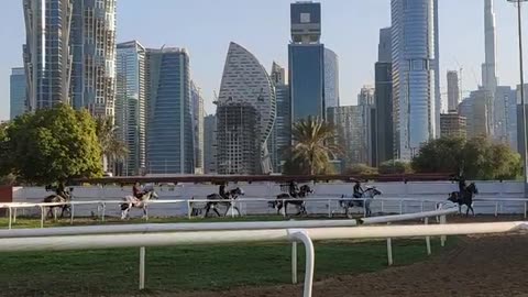 Dubai horses exercise