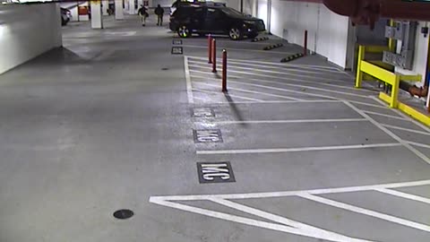 6120RHOBG2G204ALobby4Entrance_2021-01-06_13h20min02s733ms.mp4