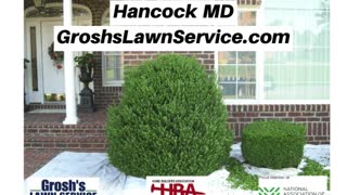 Shrub Trimming Hancock MD Landscaping Contractor