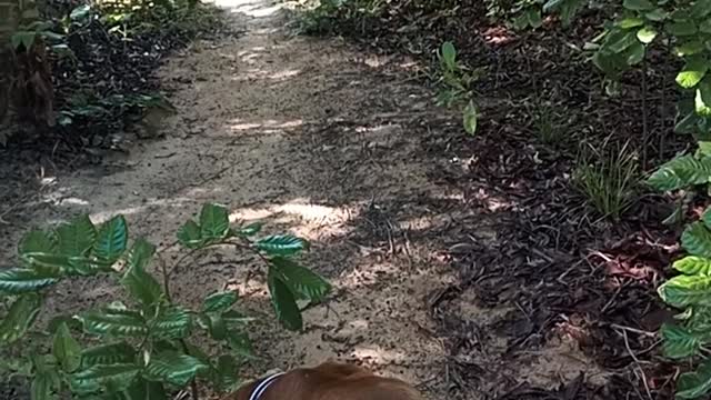 Beleza da Natureza