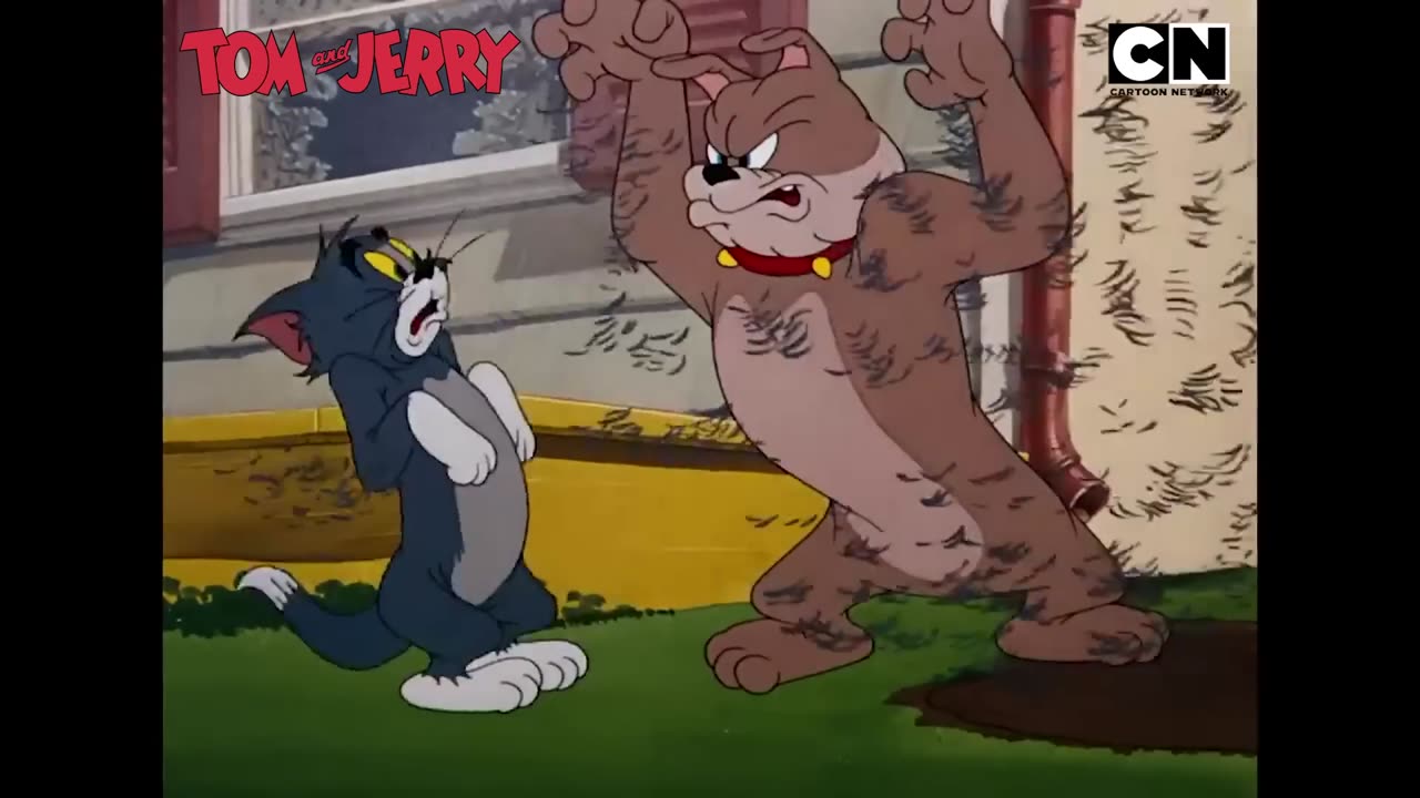 Tom & Jerry 😺🐭 Catch the Hour-Long Cat and Mouse Game 😆 Funny Compilation 🤩 ✨ - 1080