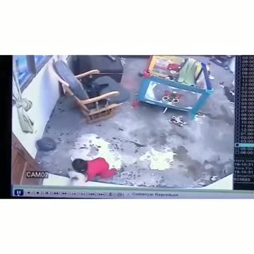 Hero cat saves baby from falling down stairs