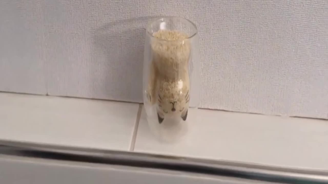 EVERYONE has to put a Glass of Rice in the Bathroom💥(GENIUS)🤯