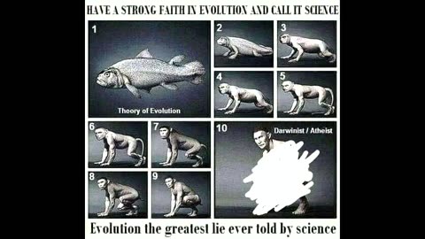 Jesus Saves -"Evolution is Stupid"