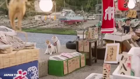 Japanese commercials with hilarious videos - funny videos